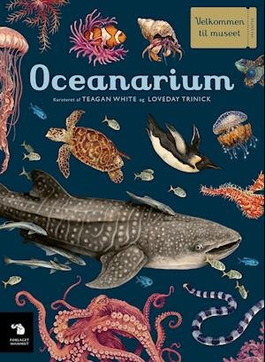 Cover for Teagan White &amp; Loveday Trinick · Velkommen til Museet: Oceanarium (Hardcover Book) [1.º edición] (2021)