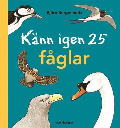 Känn igen 25 fåglar - Björn Bergenholtz - Książki - Rabén & Sjögren - 9789129708189 - 14 czerwca 2017