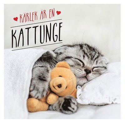 Kärlek är en kattunge - Charlie Ellis - Books - Tukan Förlag - 9789179857189 - October 15, 2021