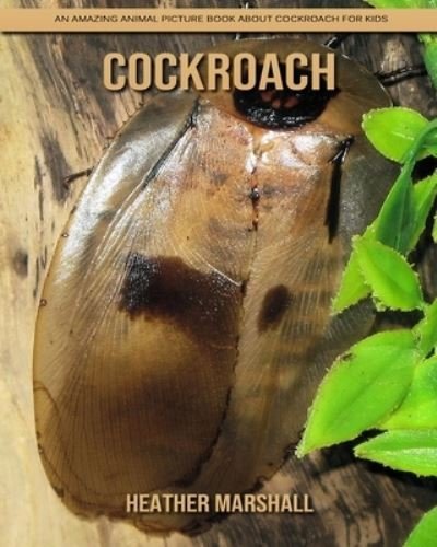 Cover for Heather Marshall · Cockroach: An Amazing Animal Picture Book about Cockroach for Kids (Pocketbok) (2021)
