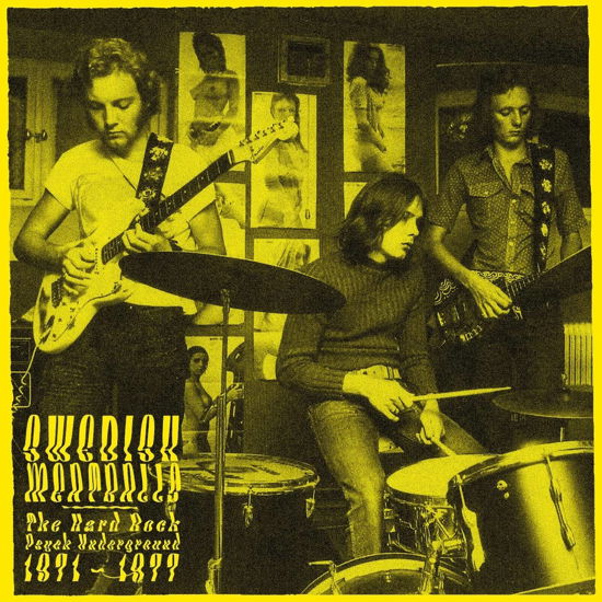 Swedish Meatballs - The Psychedelic Hard Rock Underground 1971-1977 (LP) (2023)