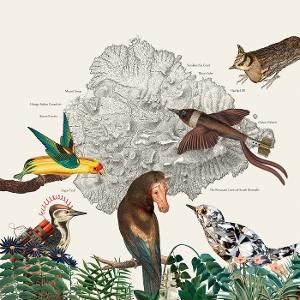 Cover for Friendly Rich · Birds of Marsville (LP) (2025)