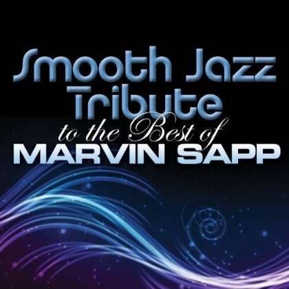 Smooth Jazz Tribute to Marvin Sapp - Smooth Jazz Tribute - Musik - Cce Ent - 0707541992190 - 1 december 2017