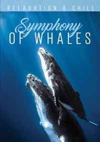 Cover for Relax Series · Relax: Symphony of Whales (DVD) (2016)