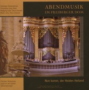 Cover for Christian Skobowsky / Various · Abendmusik Im Freiberger Dom (CD) (2007)