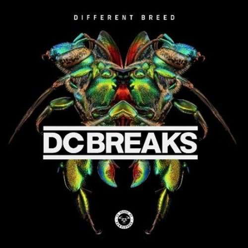 Cover for Dc Breaks · Different Breed (LP) (2017)