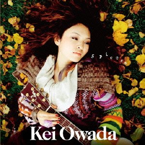 Cover for Owada Kei · 5 Pieces +1 (CD) [Japan Import edition] (2013)