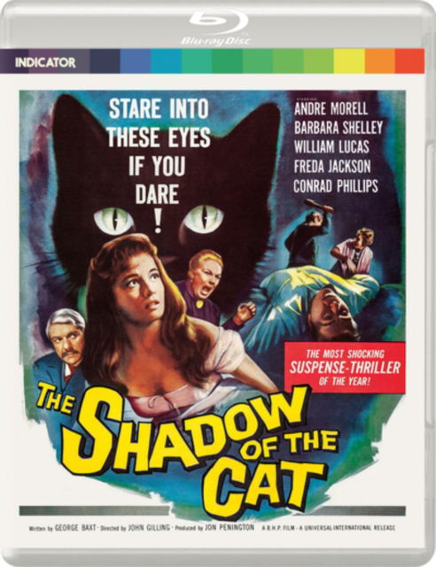 Shadow Of The Cat. The - The Shadow of the Cat BD - Movies - POWERHOUSE FILMS - 5060697924190 - February 26, 2024