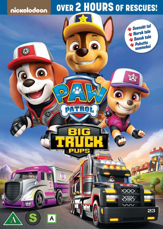 Cover for Paw Patrol · Paw Patrol: Big Truck Pups (DVD) (2023)