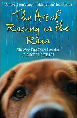 Cover for Garth Stein · The Art of Racing in the Rain (Paperback Book) (2009)