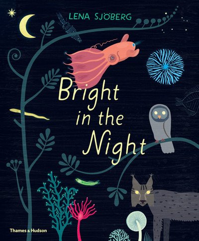 Cover for Lena Sjoberg · Bright in the Night (Hardcover Book) (2019)