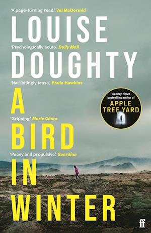 Cover for Louise Doughty · A Bird in Winter (Pocketbok) (2024)