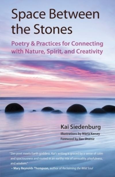 Cover for Kai Siedenburg · Space Between the Stones (Paperback Book) (2020)