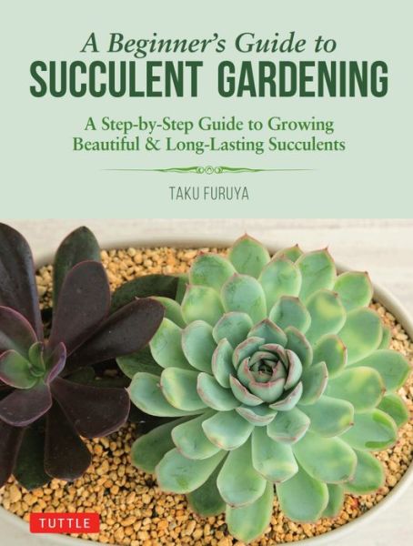 Cover for Taku Furuya · A Beginner's Guide to Succulent Gardening: A Step-by-Step Guide to Growing Beautiful &amp; Long-Lasting Succulents (Paperback Book) (2019)