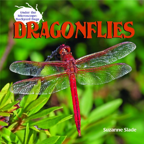 Dragonflies (Under the Microscope: Backyard Bugs) - Suzanne Slade - Książki - Powerkids Pr - 9781404238190 - 30 sierpnia 2007