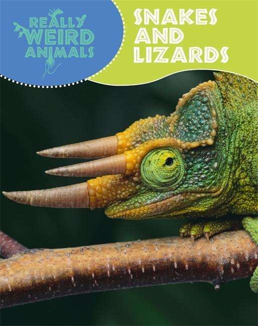 Cover for Clare Hibbert · Really Weird Animals: Snakes and Lizards - Really Weird Animals (Pocketbok) [Illustrated edition] (2015)