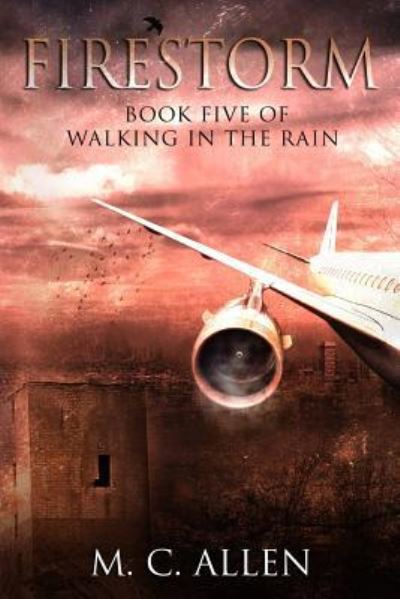 Cover for Sara Jones · Firestorm (Paperback Book) (2015)