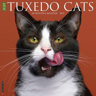 Cover for Willow Creek Press · Just Tuxedo Cats 2025 12 X 12 Wall Calendar (Kalender) (2024)