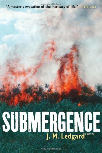 Cover for J. M. Ledgard · Submergence (Taschenbuch) (2013)