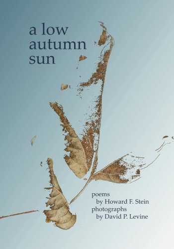 Cover for David P. Levine · A Low Autumn Sun (Paperback Book) (2003)