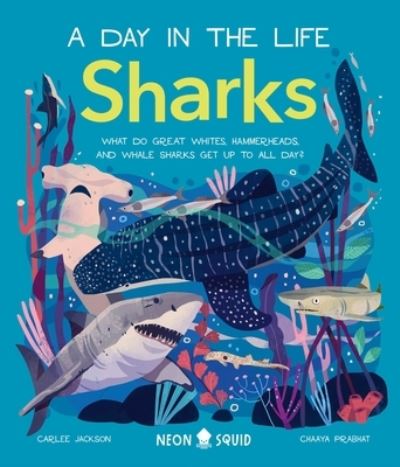 Cover for Carlee Jackson · Sharks (A Day in the Life): What Do Great Whites, Hammerheads, and Whale Sharks Get Up To All Day? - A Day in the Life (Innbunden bok) (2022)