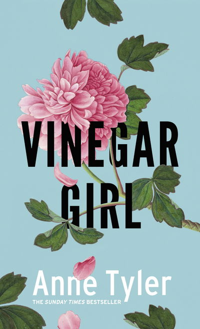 Vinegar Hill - Anne Tyler - Kirjat - Random House UK - 9781781090190 - torstai 16. kesäkuuta 2016