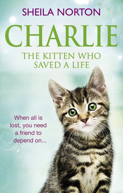 Cover for Sheila Norton · Charlie the Kitten Who Saved A Life (Paperback Book) (2016)