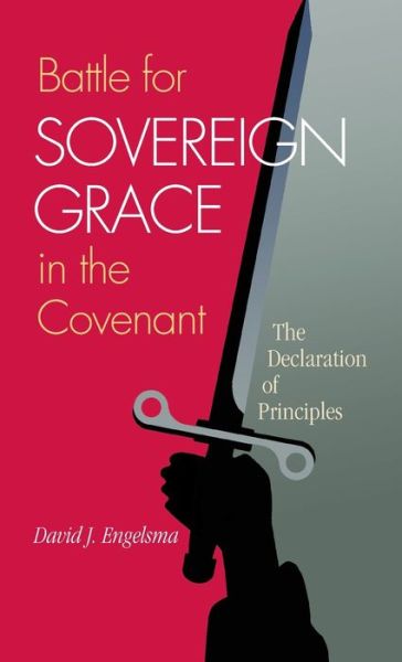 Cover for David J Engelsma · Battle for Sovereign Grace in the Covenant: The Declaration of Principles (Hardcover Book) (2013)