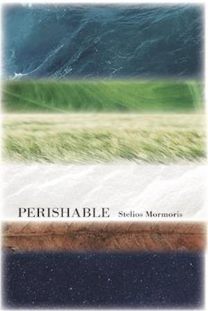 Cover for Stelios Mormoris · Perishable (Paperback Book) (2025)