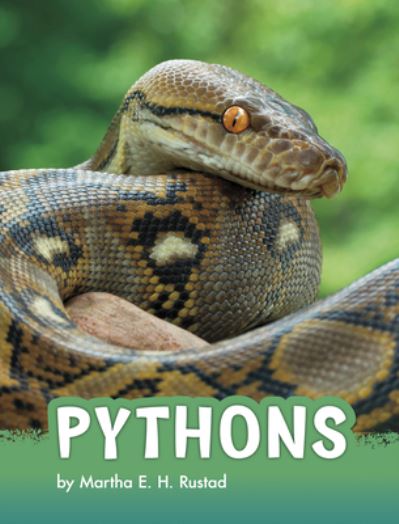 Cover for Martha E H Rustad · Pythons (Hardcover Book) (2020)