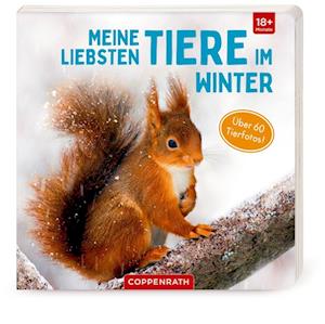 Meine liebsten Tiere im Winter - Coppenrath F - Books - Coppenrath F - 9783649639190 - August 1, 2021