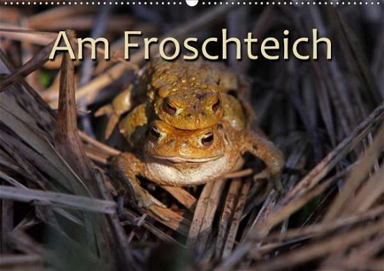 Cover for Berg · Am Froschteich (Wandkalender 2021 (Bog)