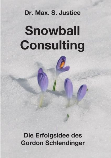 Snowball Consulting - Justice - Livros -  - 9783746927190 - 11 de abril de 2018