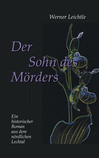 Cover for Werner Leichtle · Der Sohn des Moerders: Ein historischer Roman aus dem noerdlichen Lechtal (Paperback Book) (2019)