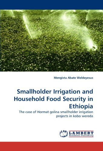 Cover for Mengistu Abate Weldeyesus · Smallholder Irrigation and Household Food Security in Ethiopia: the Case of Hormat Golina Smallholder Irrigation Projects in Kobo Wereda (Pocketbok) (2011)