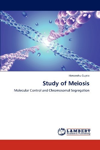 Study of Meiosis: Molecular Control and Chromosomal Segregation - Himanshu Gupta - Bücher - LAP LAMBERT Academic Publishing - 9783846537190 - 7. Januar 2013