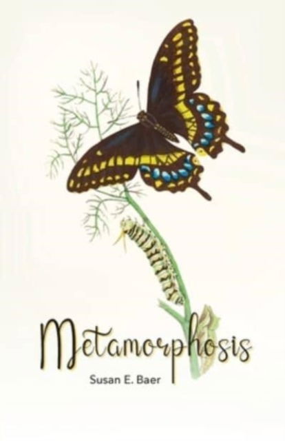 Cover for Susan E Baer · Metamorphosis (Paperback Book) (2023)