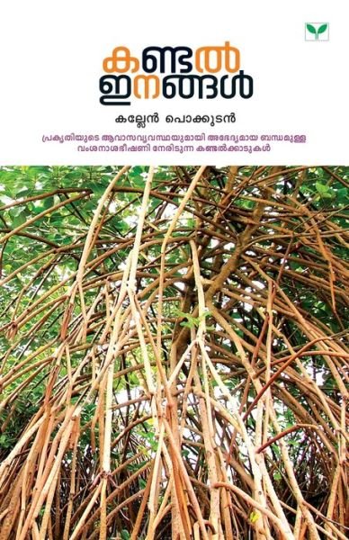 Cover for Na · Kandal Inangal (Paperback Book) (2015)