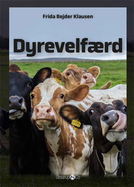 Maxi: Dyrevelfærd - Frida Bejder Klausen - Bøger - Straarup & Co - 9788770187190 - 5. maj 2020