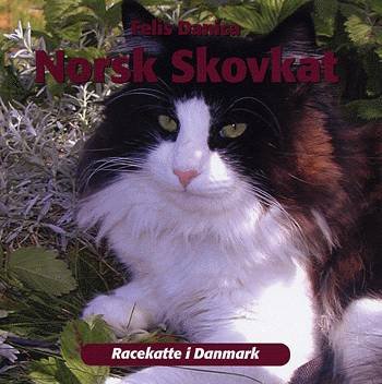 Racekatte i Danmark.: Norsk skovkat - Danmark Felis Danica¤Norsk Skovkattering - Boeken - Atelier - 9788778574190 - 15 augustus 2003