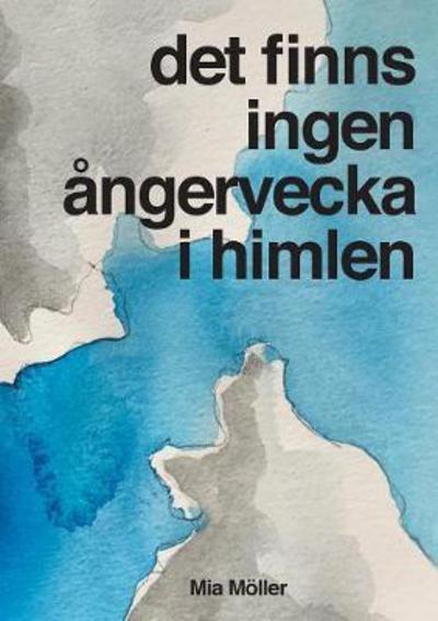 Det finns ingen ångervecka i him - Möller - Boeken - BoD - 9789175691190 - 23 mei 2017