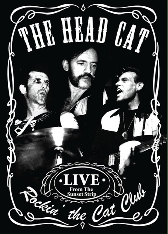 Cover for Head Cat · Rockin' The Cat Club (DVD) (2018)