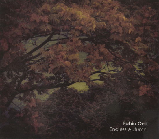 Endless Autumn - Fabio Orsi - Music - BACKWARDS - 2090503905191 - August 15, 2013