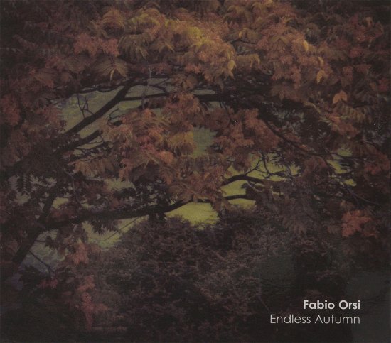 Cover for Fabio Orsi · Endless Autumn (CD) (2013)