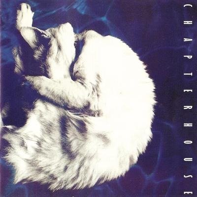 Cover for Chapterhouse · Whirlpool (CD) [Japan Import edition] (2020)