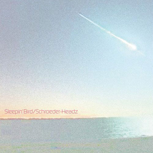 Cover for Schroeder-headz · Sleepin` Bird (CD) [Japan Import edition] (2013)