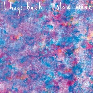 Cover for It Hugs Back · Slow Wave (CD) (2015)