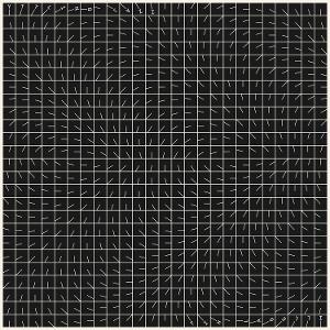 Cover for Yttling Jazz · Illegal Hit (LP) (2025)