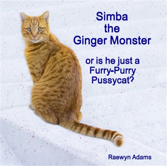 Cover for Raewyn Adams · Simba the Ginger Monster (Paperback Book) (2019)
