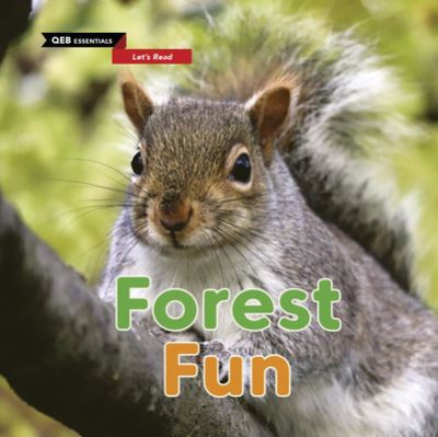 Forest Fun - Zoë Clarke - Książki - QEB Publishing Inc. - 9780711244191 - 1 sierpnia 2021